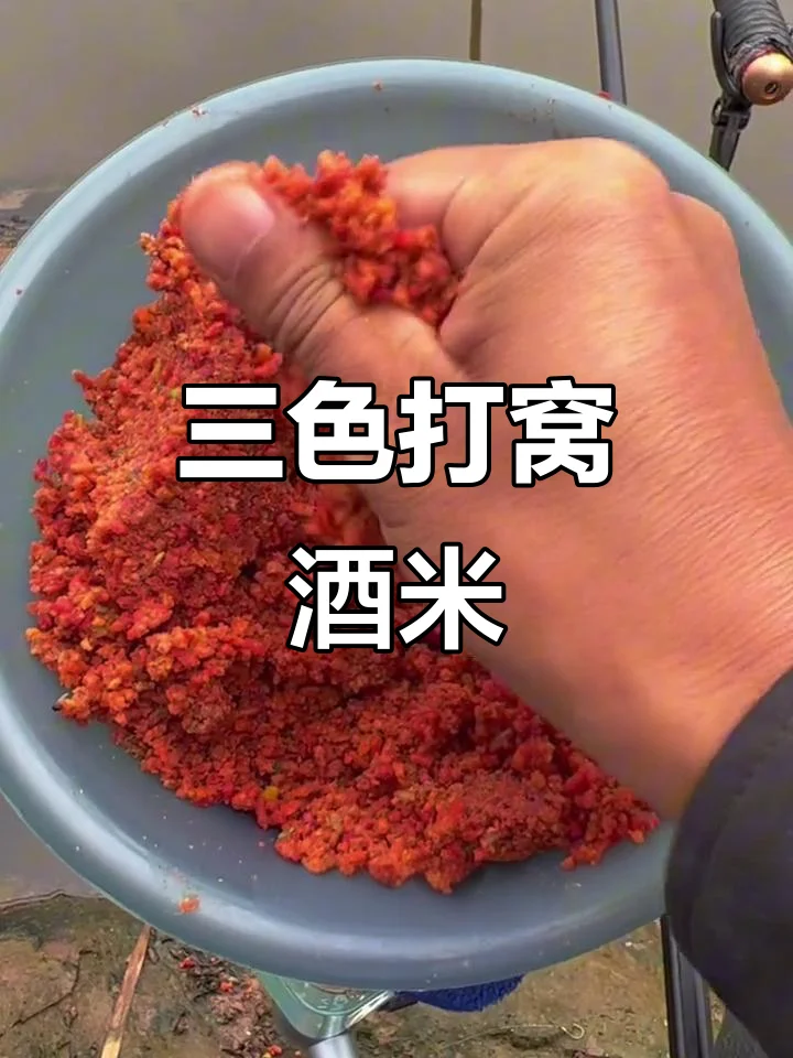 正在发酵中的自制打窝酒米特写,金黄色米粒在玻璃罐中产生气泡,展现手工制作的活力与醇香。_1
