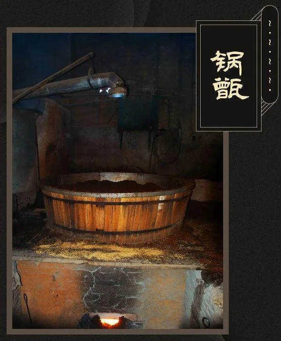 酿酒师正在检查传统固态法酒醅的发酵状态_1