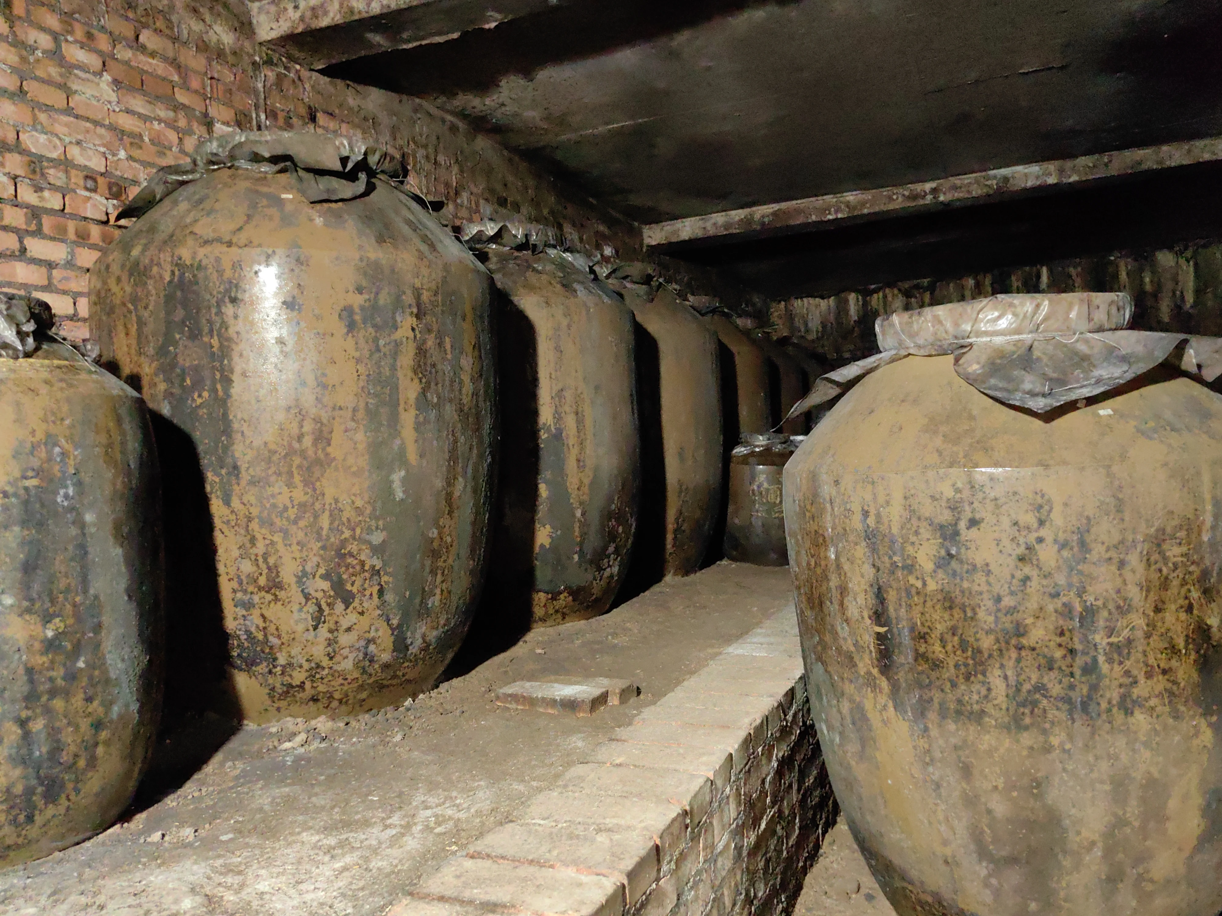 酿酒师从泥土中取出用于埋藏的陶坛酒_1