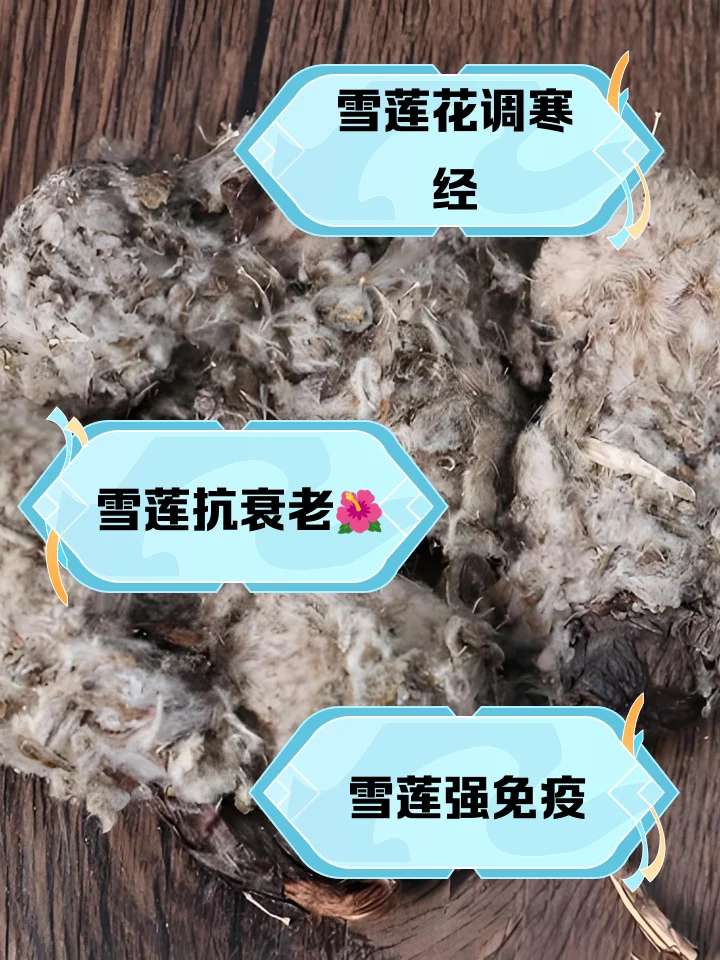 一瓶清澈的雪莲花酒与干制雪莲花摆放在木质工作台上的特写照片_1