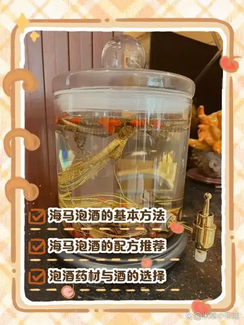 三个玻璃泡酒瓶展示海马与肉苁蓉、枸杞人参、鹿茸三种不同的补肾泡酒配方_1