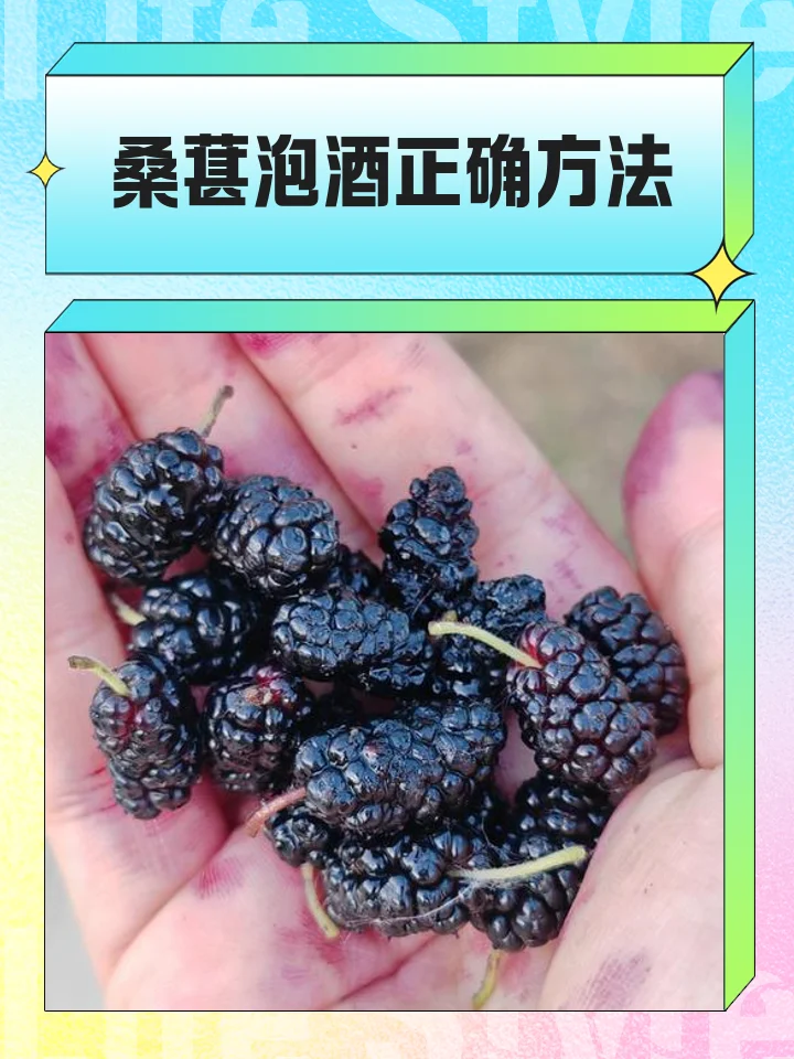 自制桑葚泡酒配方展示：玻璃罐中紫红色酒液与桑葚、柠檬、枸杞、红枣等配料特写_1