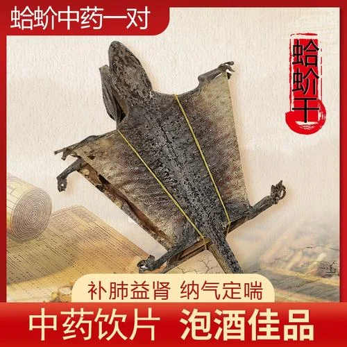 蛤蚧泡酒经典药材搭配实拍：透明玻璃罐中浸泡蛤蚧、枸杞、红枣等，旁边散落人参、当归等药材。_1