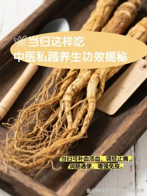 伸筋草当归泡酒的成品展示，玻璃罐中琥珀色酒液与清晰可见的药材_1