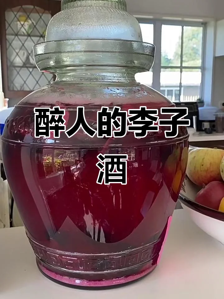家庭自酿李子酒发酵过程实拍图：透明玻璃罐中琥珀色酒液与李子果肉清晰可见_1