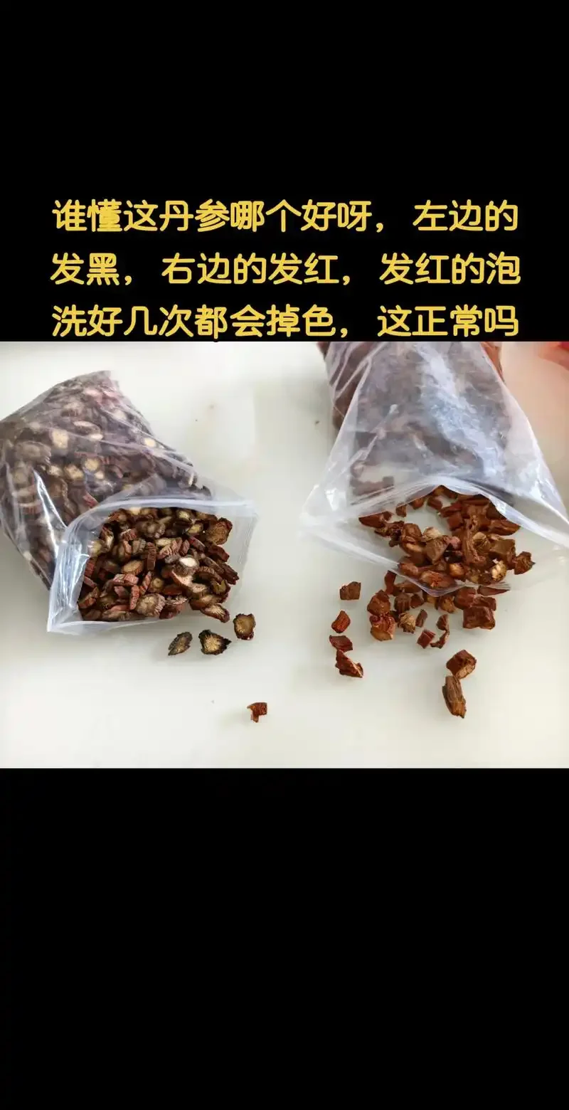 10斤白酒泡丹参的实物展示图，玻璃罐中清澈酒液与橘红色丹参切片清晰可见。_1