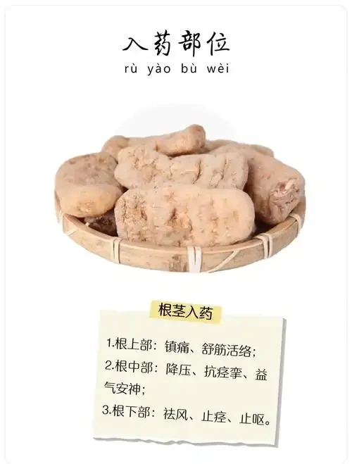 一个透明玻璃罐中正在浸泡的野天麻酒，可见清晰的野天麻切片和枸杞，酒体清澈。_1
