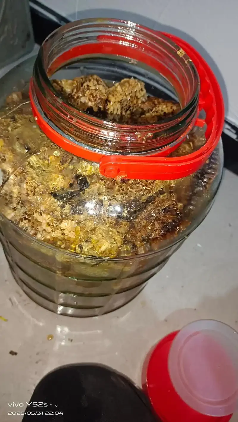透明玻璃罐中泡制的蜂巢酒特写，展示金黄色的蜂巢块与清澈酒液_1