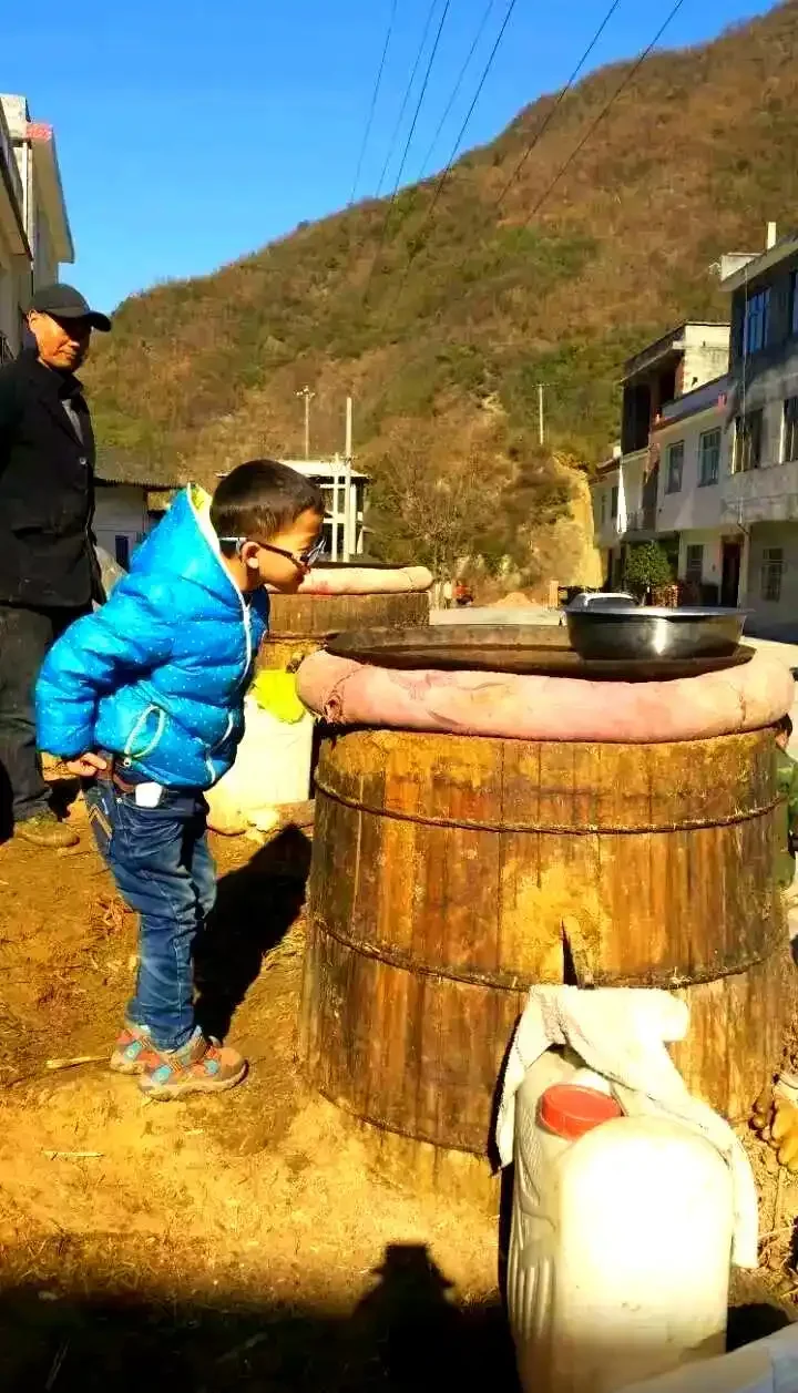 甘蔗酿酒原料与发酵过程展示：新鲜甘蔗、甘蔗段和正在发酵的甘蔗汁。_1