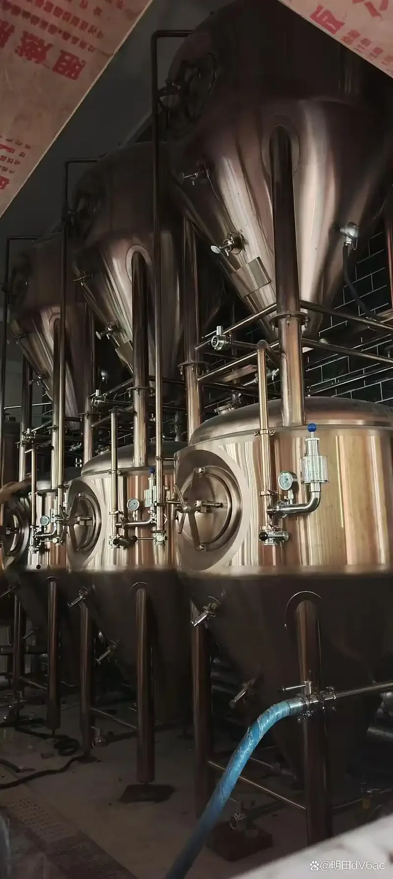 家庭厨房中正在使用的微型自酿啤酒设备全套展示，包括糖化煮沸锅和发酵罐。_1