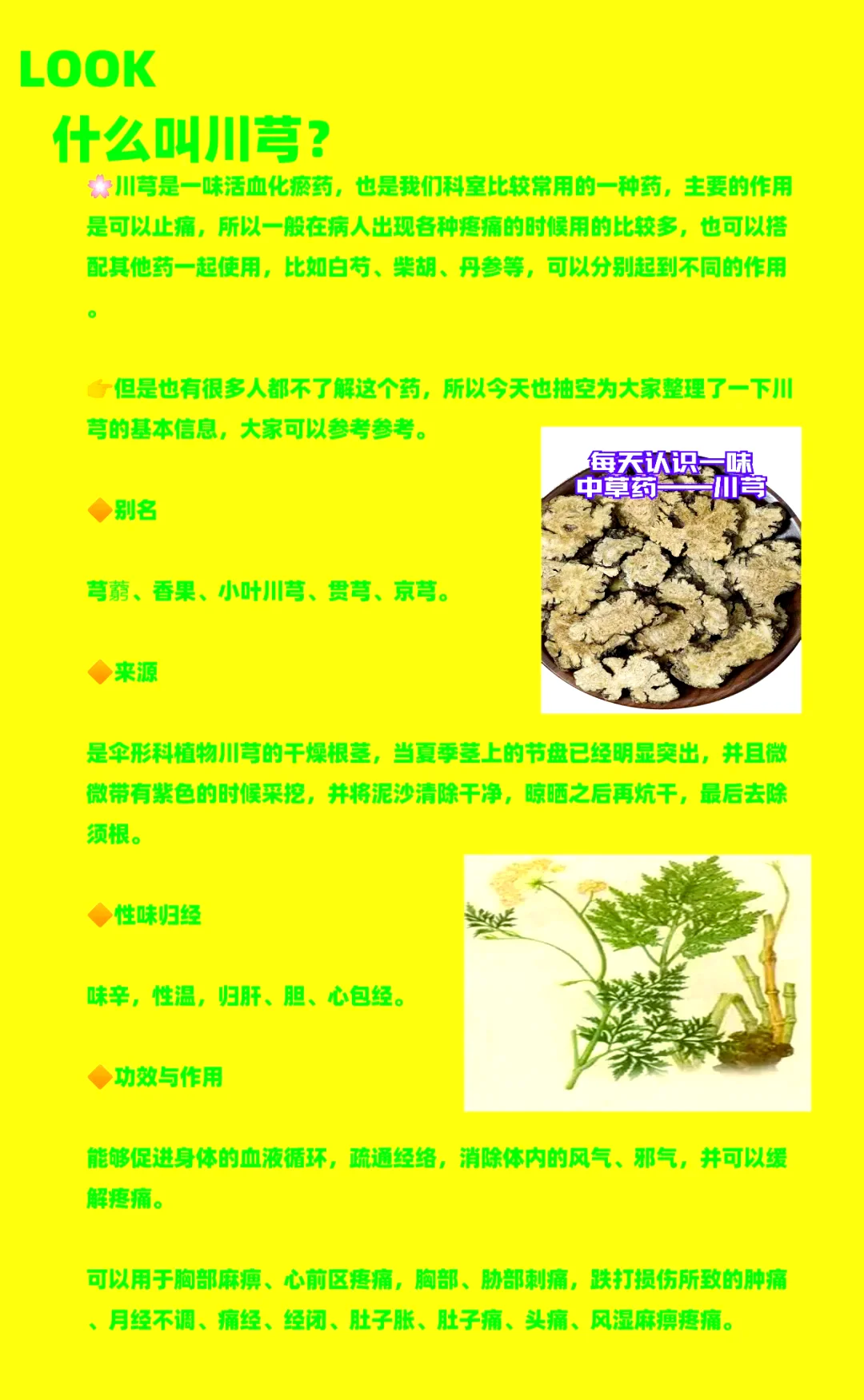 炮制完成的优质酒川芎饮片与炮制原料的细节展示图_1