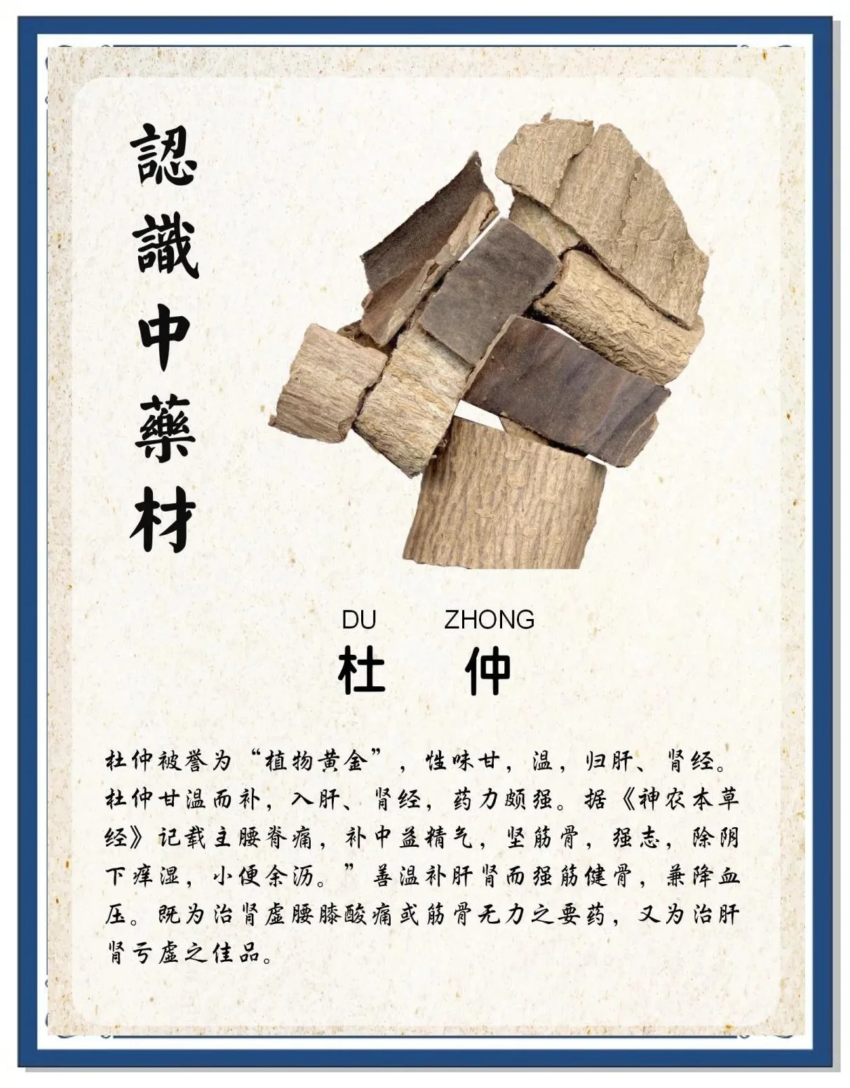 杜仲皮泡酒前处理过程展示:干净的杜仲皮与白酒在玻璃罐中_1