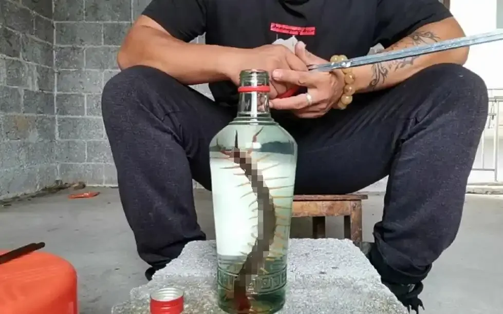 酿酒师工作台展示蜈蚣泡酒材料：玻璃酒瓶内泡有蜈蚣，旁边木碗盛放干蜈蚣及称量工具。_1