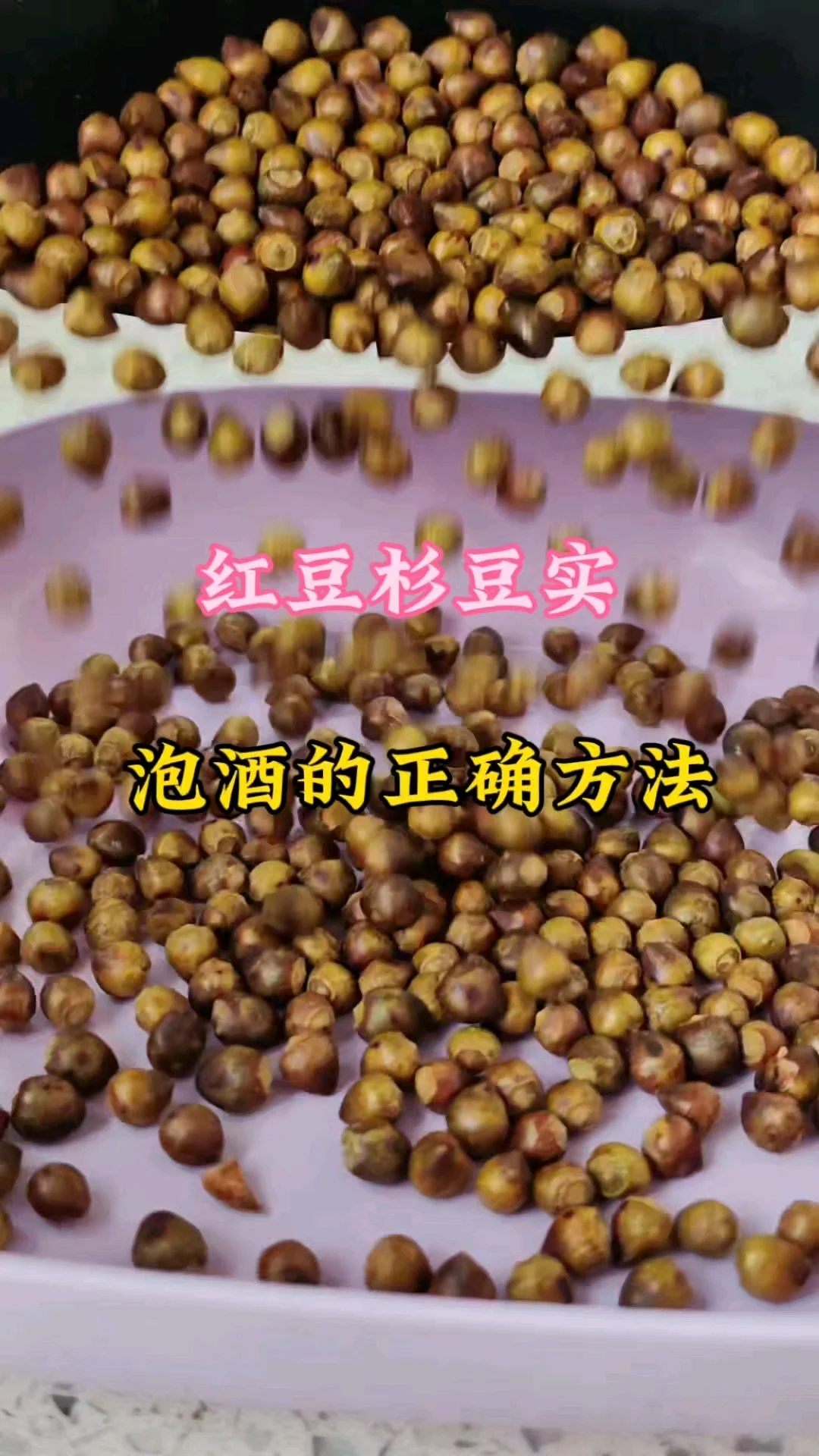 红豆杉果泡酒的玻璃罐展示，深色果实与透明酒液相映衬，旁边散落着红豆杉果。_1