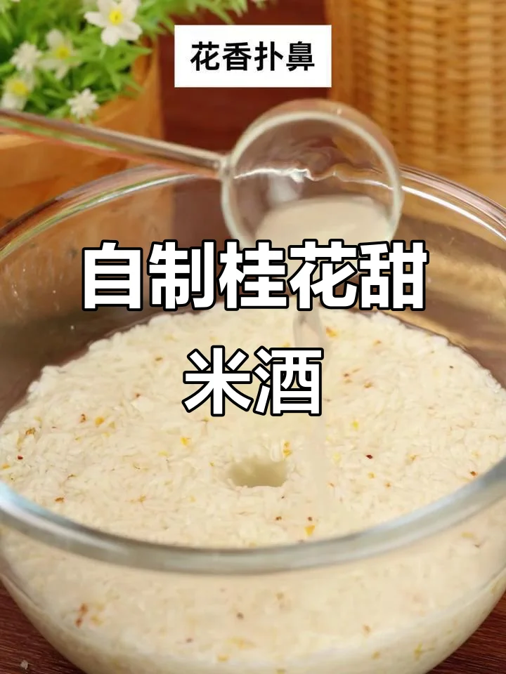 自制桂花酒制作过程特写：玻璃罐中金黄色的桂花酒，旁边摆放着干桂花、冰糖和白酒等原料。_1