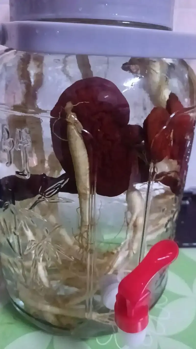 灵芝、枸杞、人参在琥珀金色酒液中浸泡的广口玻璃酒坛特写，旁边散落着酿酒配料和手写配方笔记_1