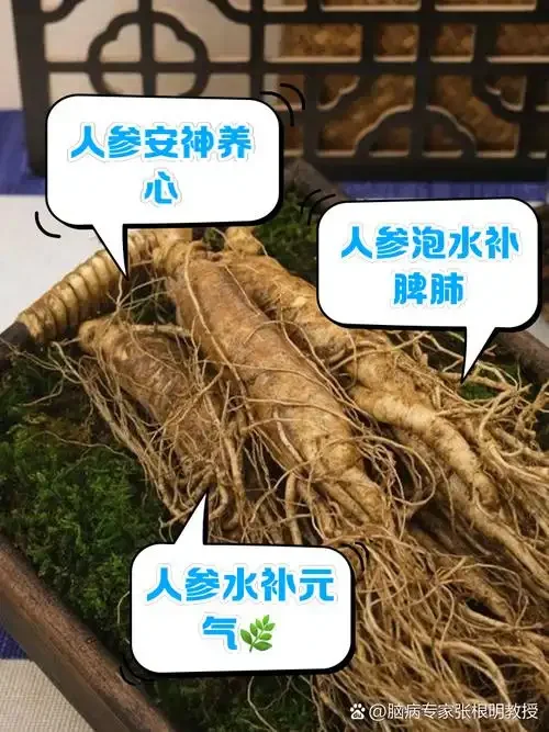 家庭自制人参药酒所需材料和泡制过程展示：透明玻璃瓶、人参、枸杞、红枣和瓶装白酒_1