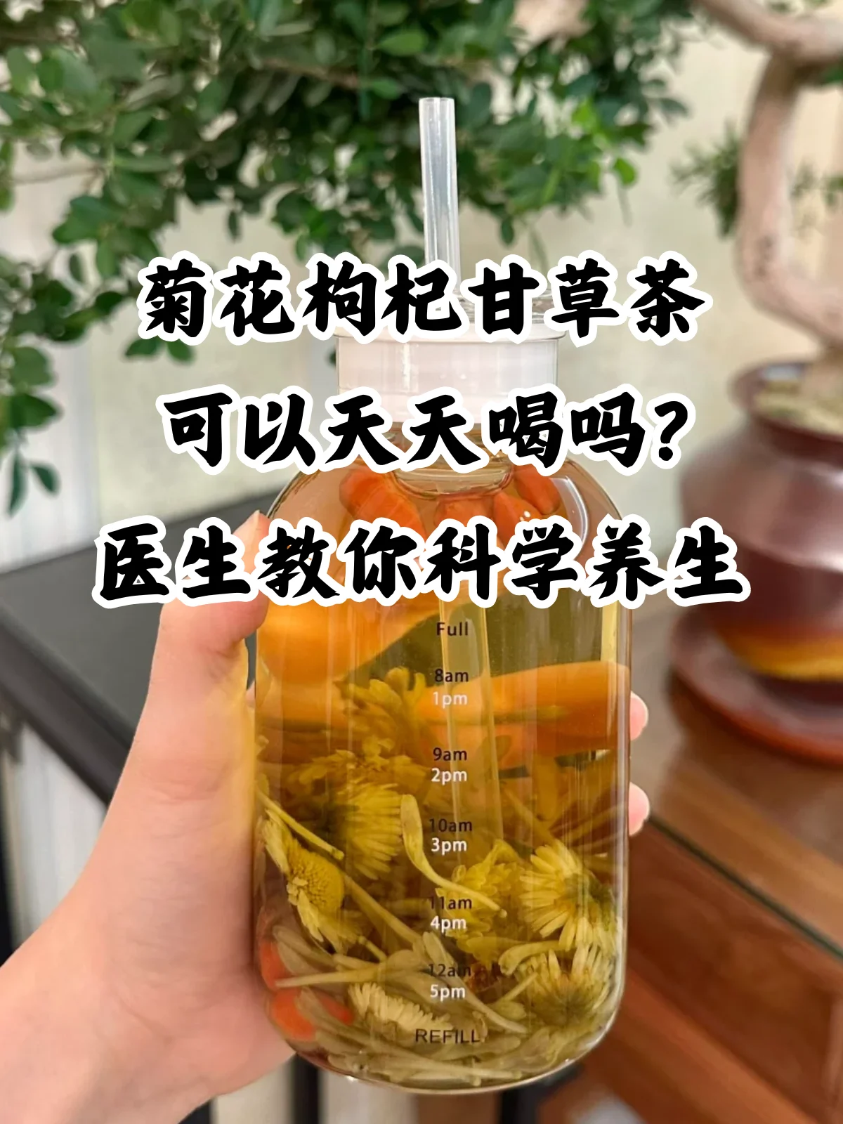 透明玻璃罐中色泽金黄的龙爪菊酒，旁边摆放着新鲜的龙爪菊植株和配料，展示泡酒成品与原材料。_1