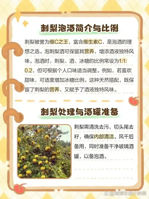 一杯用苦刺根浸泡的药酒，根须清晰可见，酒色金黄透亮，旁边放着未处理的苦刺根，展示从原料到成品的对比。_1