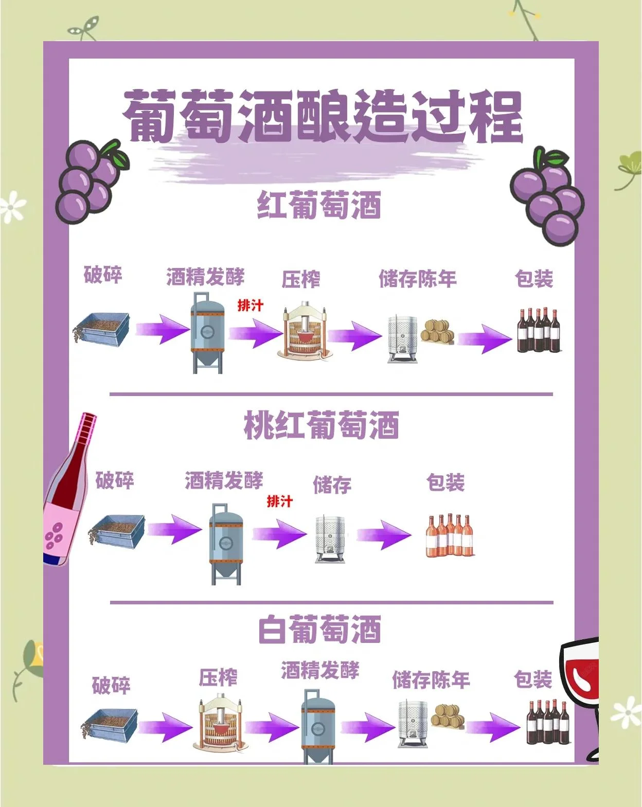 家庭酿造干红葡萄酒过程展示：发酵罐、葡萄皮帽及酿造工具_1