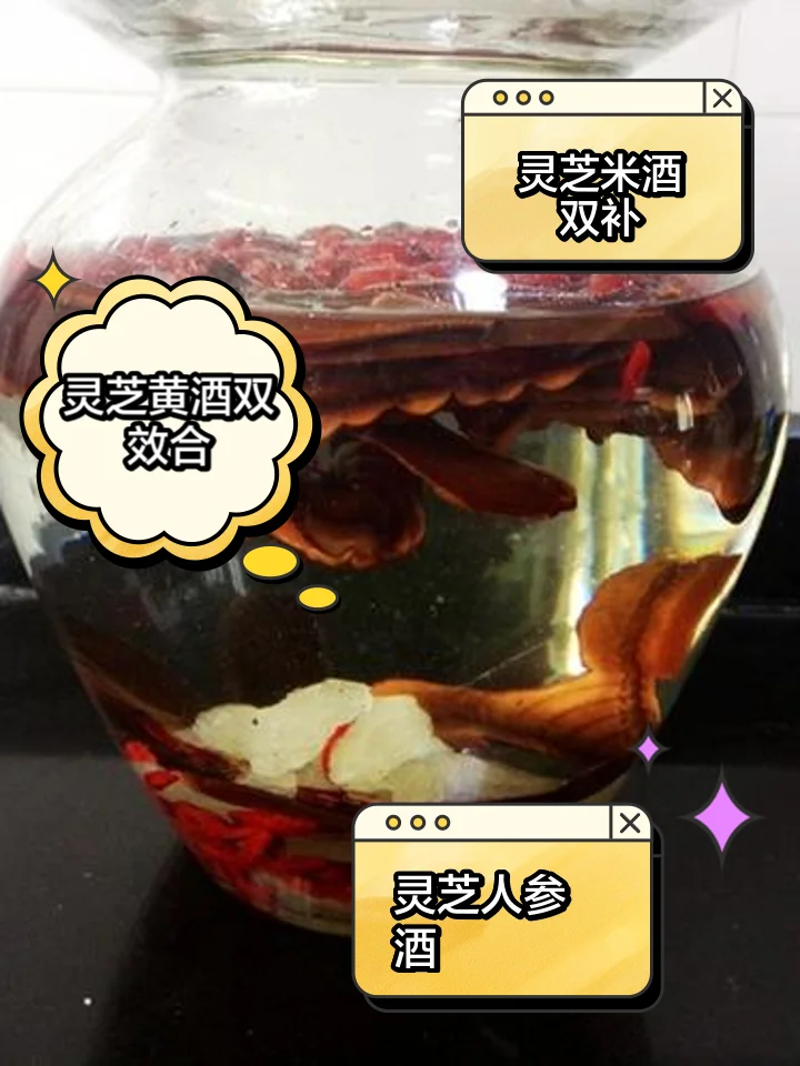 酿酒师展示泡好的灵芝酒，酒液金黄，灵芝清晰可见_1
