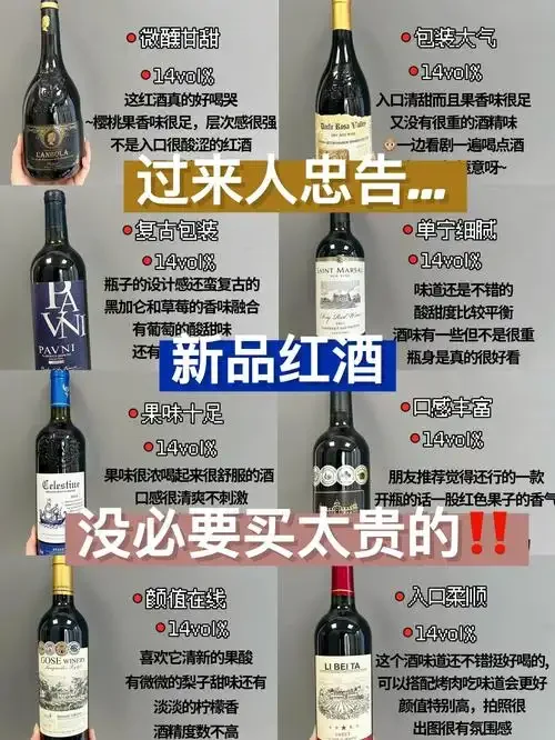 家庭自酿红葡萄酒发酵过程实景：玻璃罐中深色葡萄汁正在发酵，旁边是新鲜葡萄和酿酒工具。_1