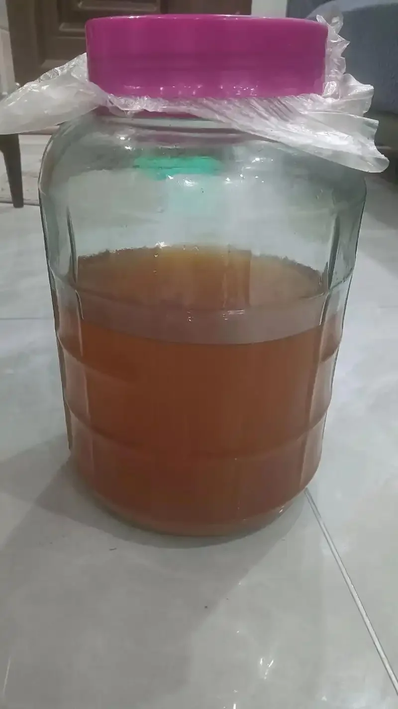 金黄色的枇杷果肉与冰糖在玻璃罐中发酵，旁边散落着新鲜枇杷，展示家庭自制枇杷酒的过程。_1