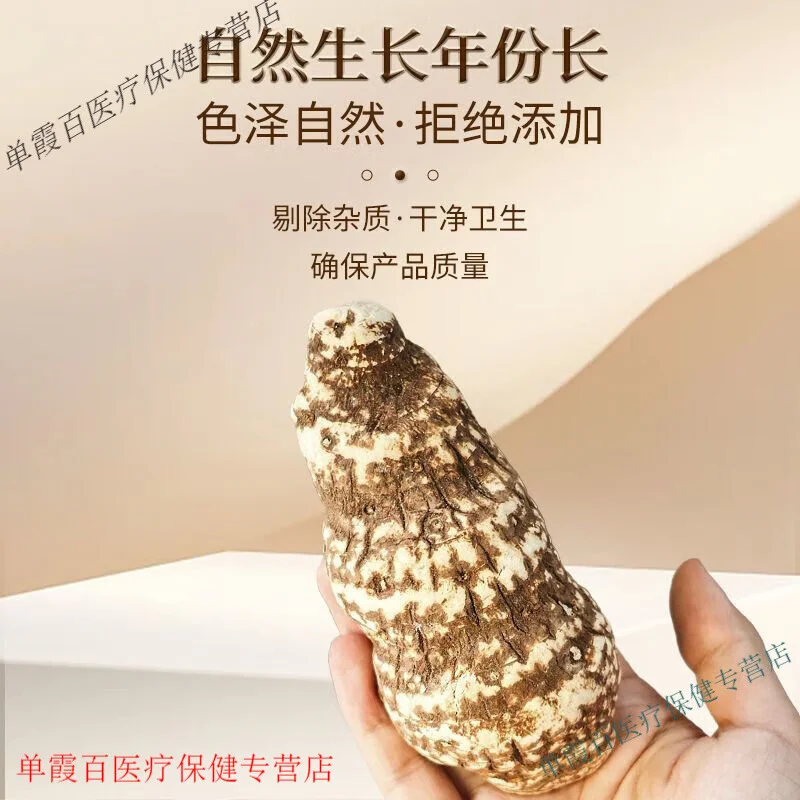 七叶一枝花在玻璃泡酒罐中与白酒浸泡的细节特写，展示传统草药泡酒的工艺。_1