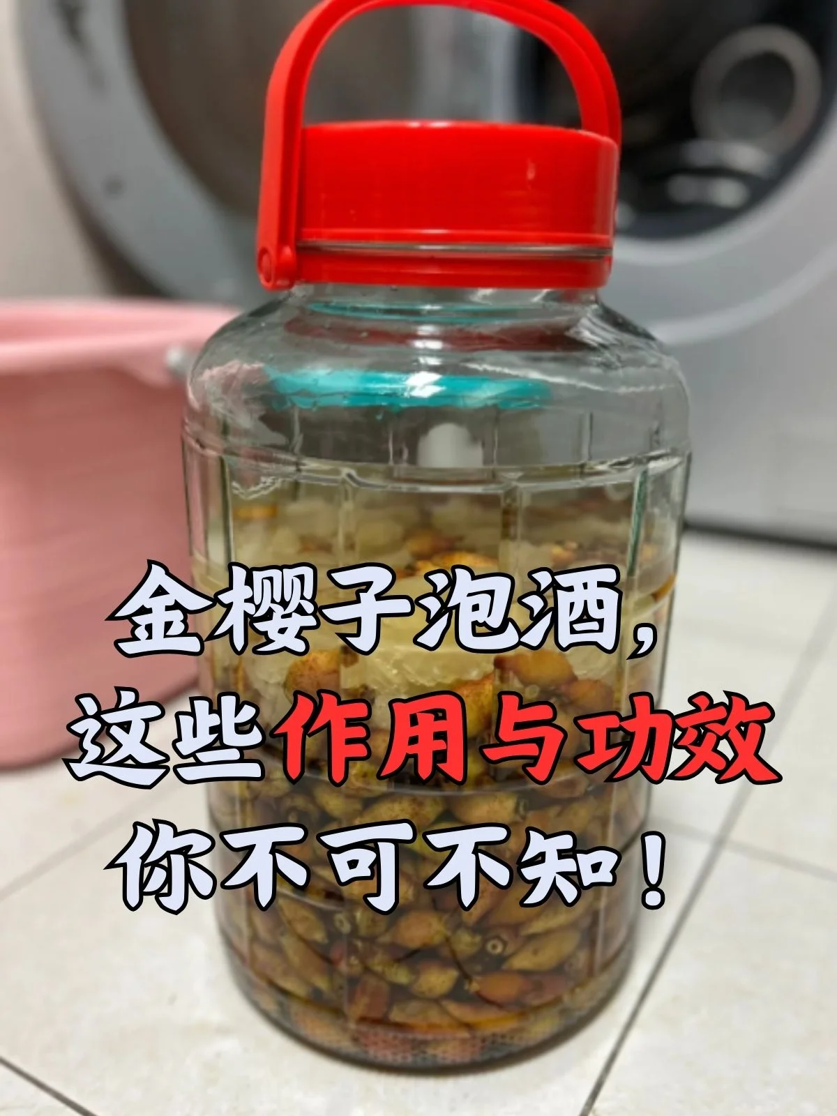 一个置于私家酒窖木架上的土陶酒坛,密封良好,旁边摆放着用于泡酒的枸杞、人参等中药材。_1