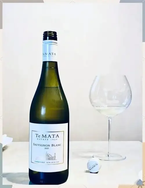 长相思白葡萄酒酿造过程展示：新鲜青绿色葡萄与透明发酵罐_1