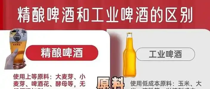 精酿啤酒与工业啤酒瓶身外观对比图，展示浑浊、沉淀、标签等细节差异_1