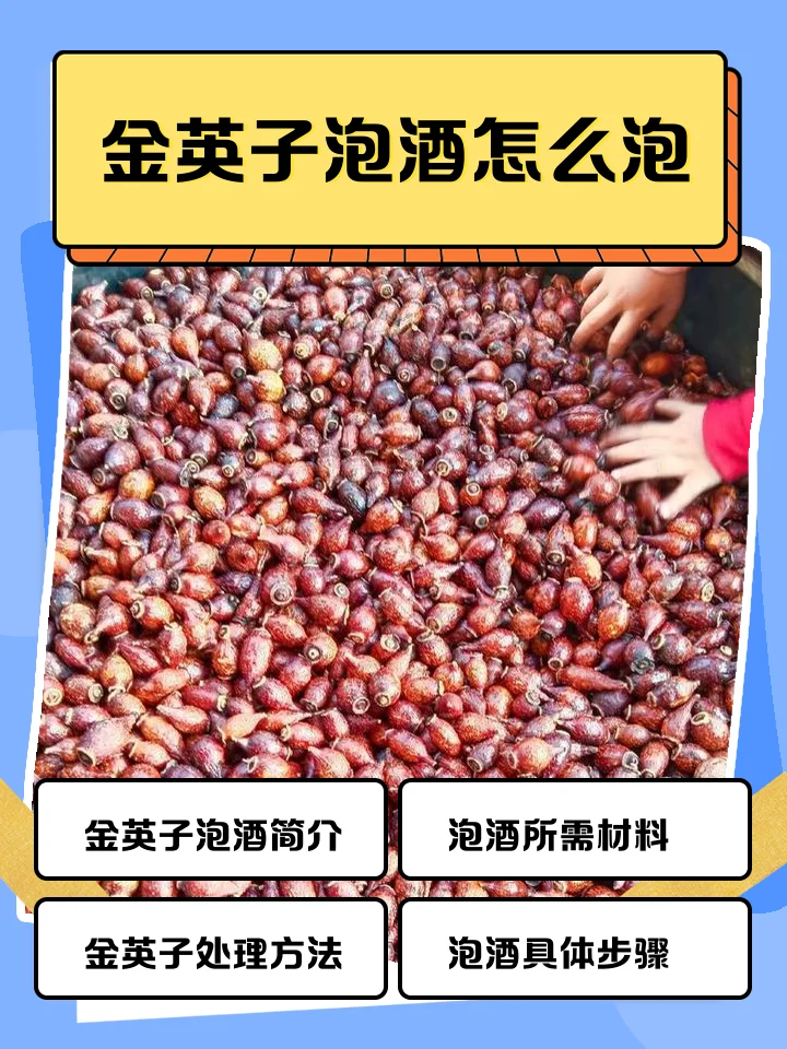 一坛家庭自制的金樱子养生酒，酒液清亮，金樱子果实饱满，旁边放着原材料和功效说明。_1