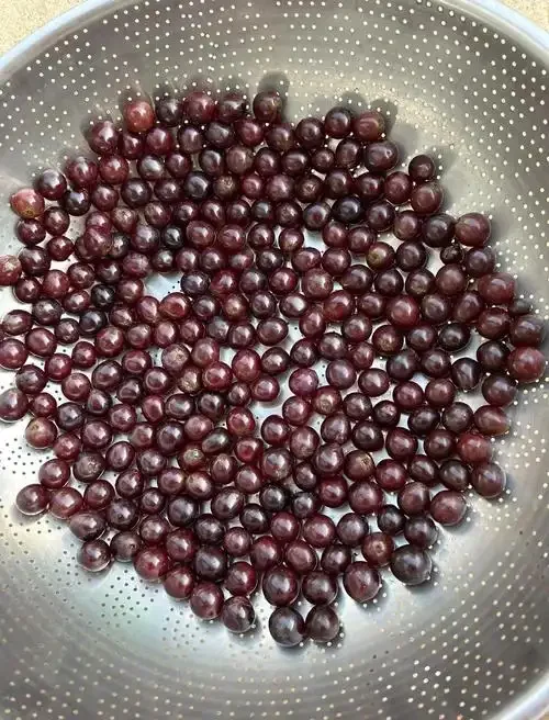 黑色小粒葡萄和玻璃发酵罐的特写，展示家庭酿造葡萄酒的初期原料与设备状态_1