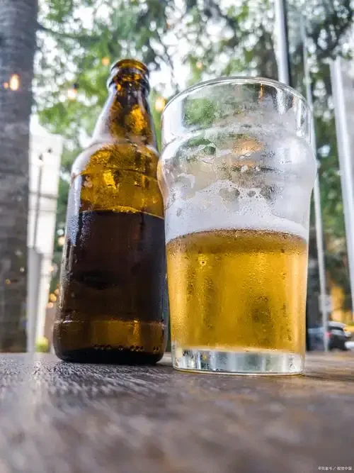 艾尔酵母与拉格酵母发酵温度对比信息图，显示不同温度范围及发酵特征。_1