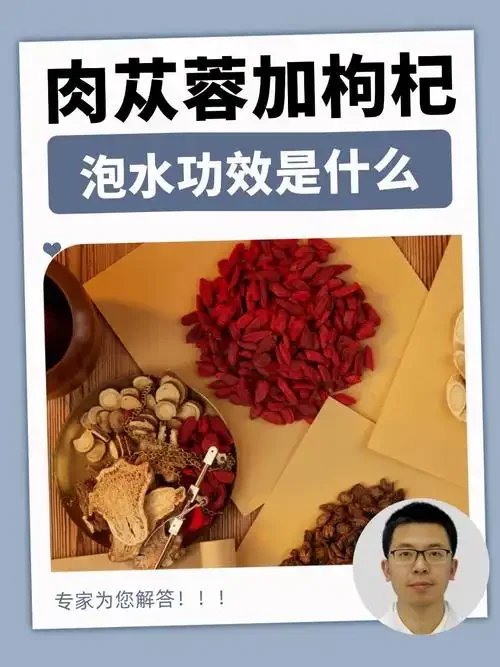肉苁蓉和枸杞在透明玻璃罐中浸泡的泡酒特写，展示药材与酒液的融合状态_1
