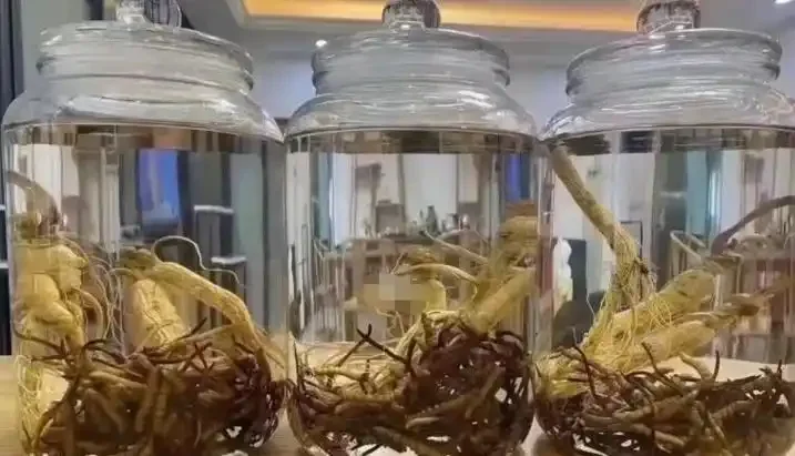 展示藏红花、虫草、花旗参在透明玻璃泡酒瓶中与琥珀色酒液交融的成品状态_1
