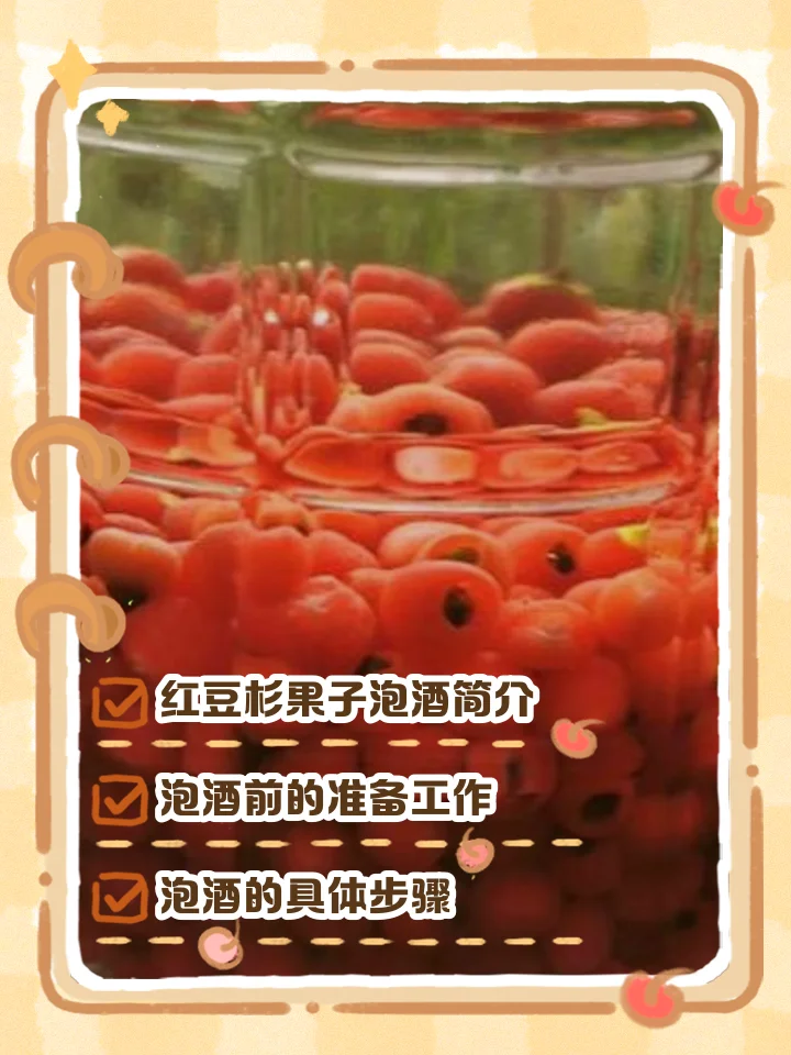 红豆杉树根切片在透明酒罐中泡酒的展示图，体现干净、专业的处理过程。_1
