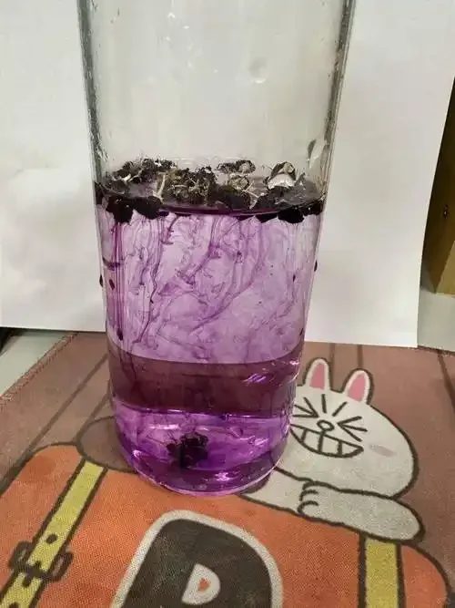 透明玻璃瓶中深紫红色的黑枸杞酒与散落的黑枸杞实物对比图，展示正常泡酒色泽。_1