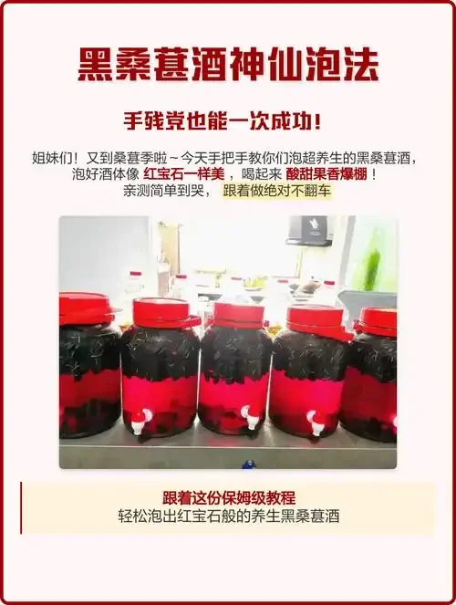 家庭泡制桑葚酒步骤展示：透明玻璃罐中装满桑葚和冰糖，正在倒入白酒_1