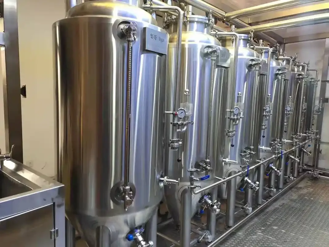 一套不锈钢精酿啤酒酿造设备在工坊内的专业布置，旁边摆放着麦芽、啤酒花等原料。_1