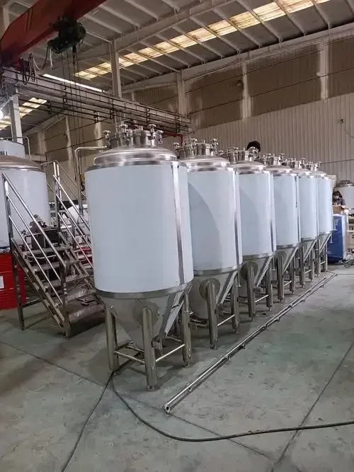 家庭或小型工坊精酿啤酒设备实拍：糖化煮沸锅与玻璃发酵罐展示_1
