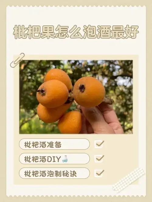 自制枇杷酒泡酒罐与捞出枇杷果肉的特写，展示泡酒后枇杷的真实状态_1