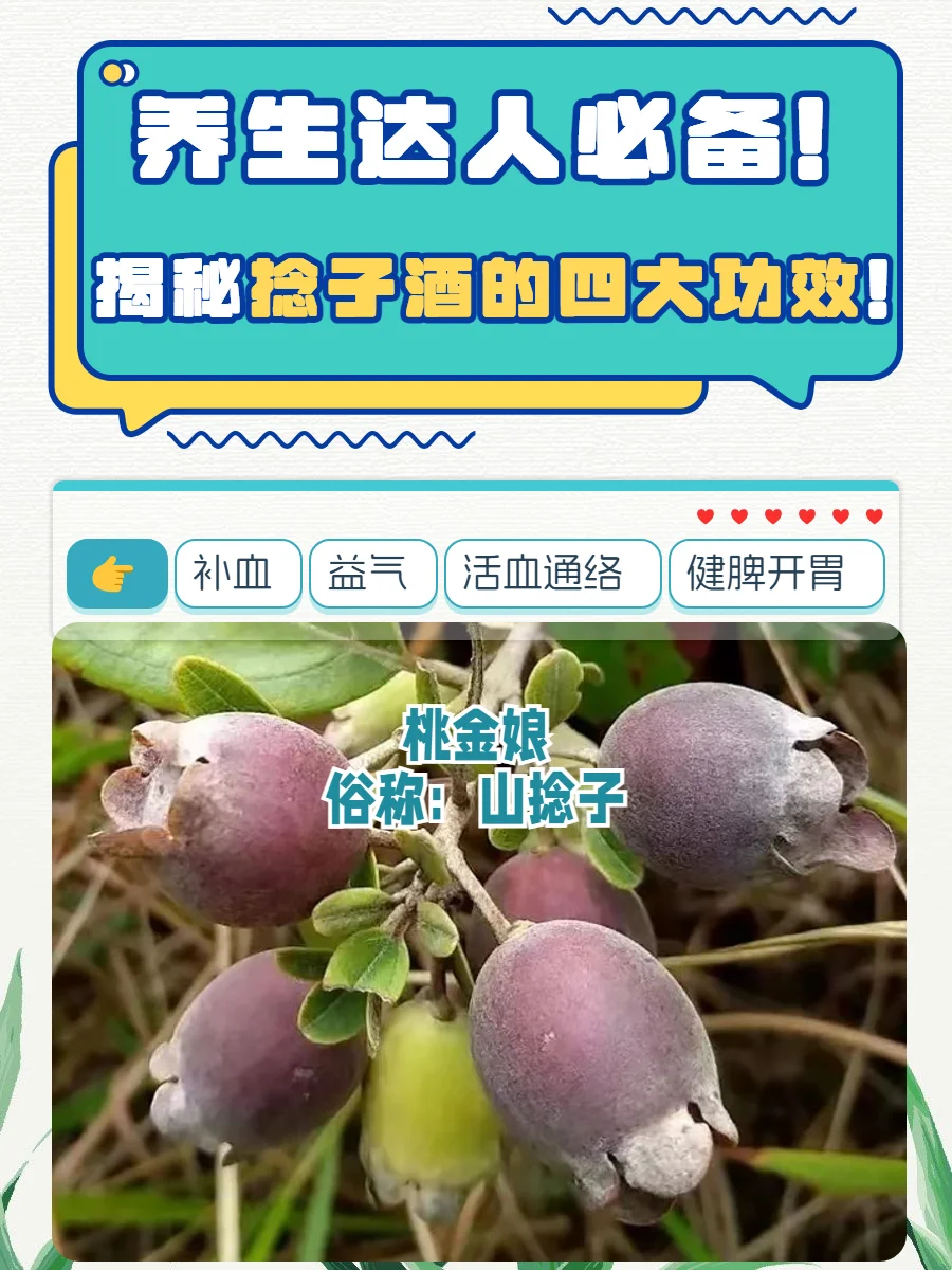 山稔子果实与正在浸泡中的山稔子养生酒实物照片，展示酿酒原料与成品状态_1