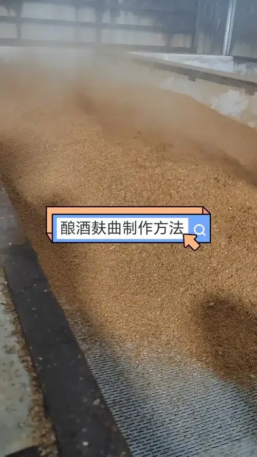 酿酒工作台对比实验：左侧使用酒曲成功发酵的酒醪与右侧不使用酒曲导致腐败的失败品对比_1