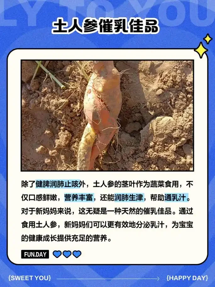 家庭自酿土人参泡酒过程：玻璃瓶中琥珀色酒液浸泡着土人参、枸杞和红枣，旁边摆放着待处理的原料。_1