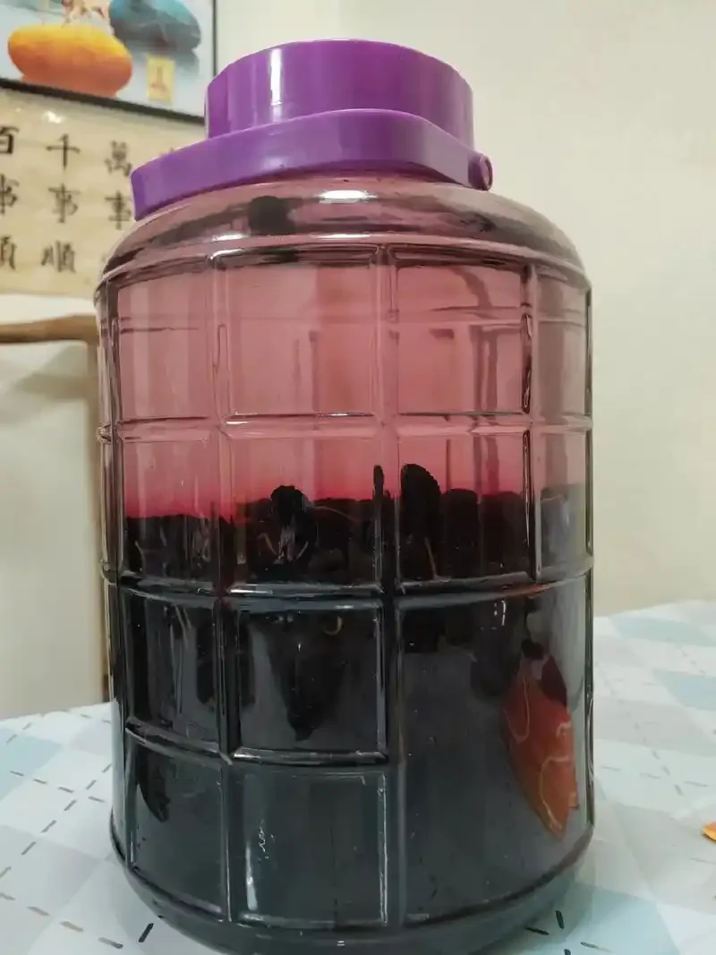 家庭自制桑葚酒原料准备：透明玻璃罐中装满新鲜桑葚和白糖_1