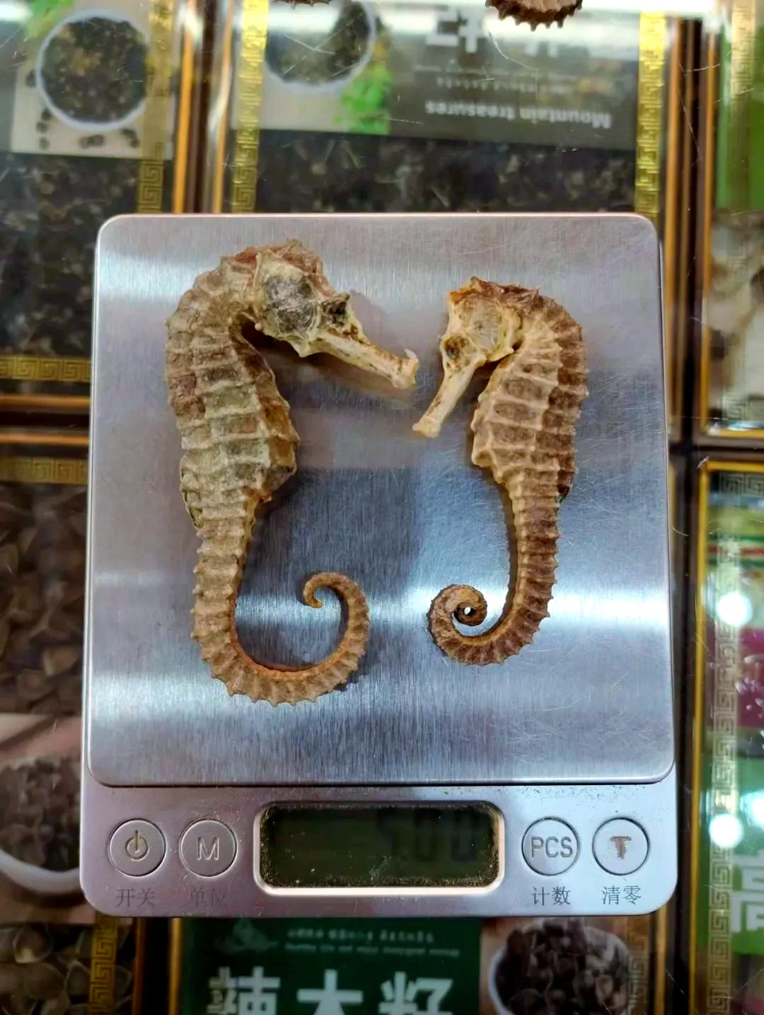 家庭泡制海马药酒：透明玻璃瓶中琥珀色酒液浸泡着海马、人参和枸杞等药材的特写。_1