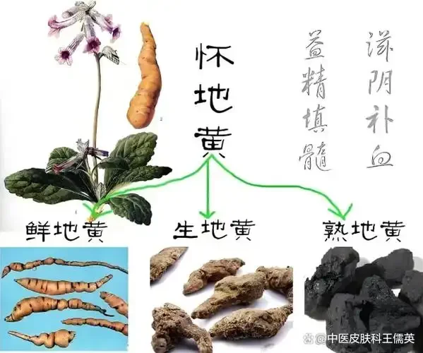 枸杞熟地黄泡酒成品展示：玻璃罐中琥珀色酒液浸泡着红色枸杞和深褐色熟地黄片。_1