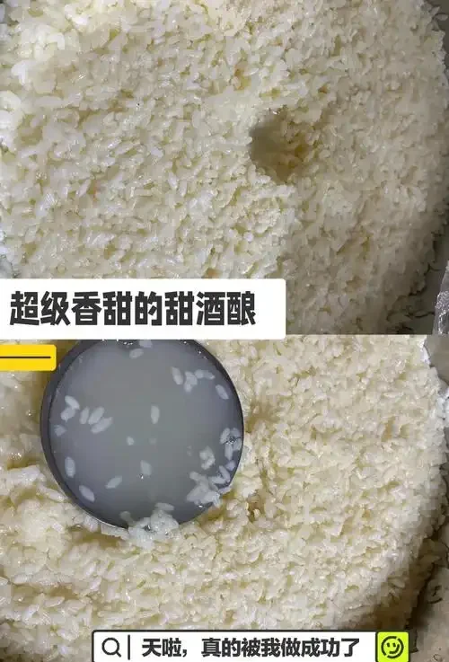 家庭自制黄米酒发酵过程的特写，黄米酒醅在容器中湿润饱满，充满生机。_1