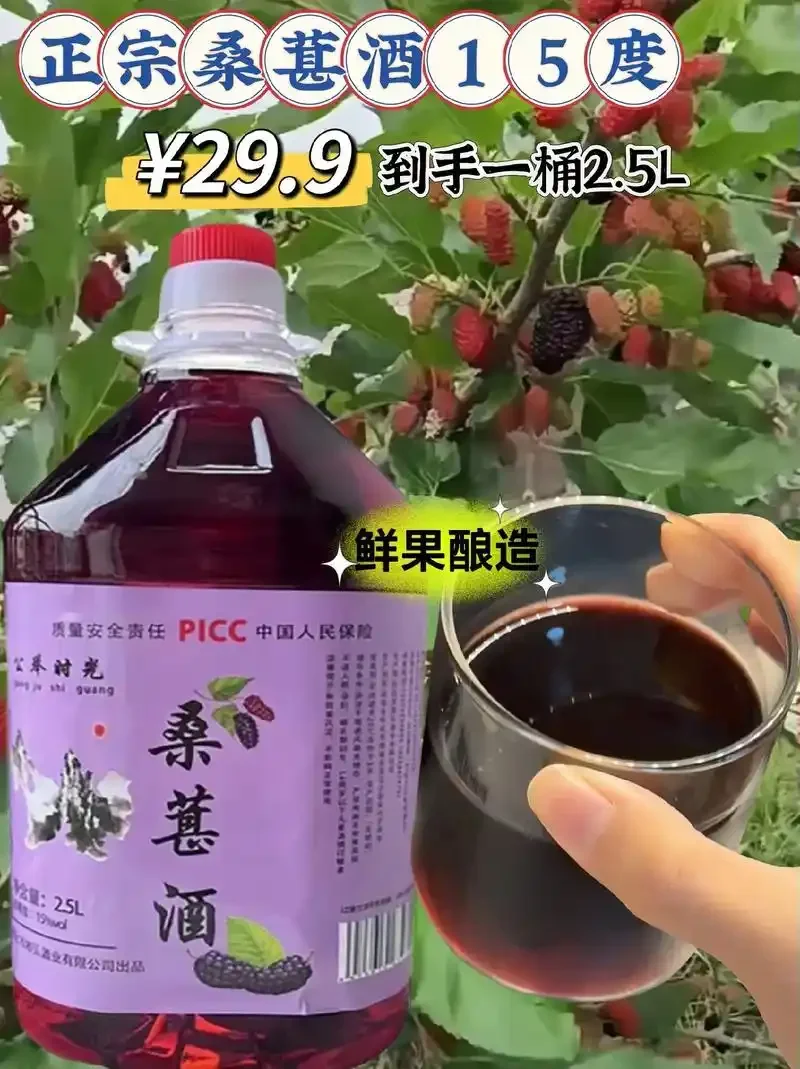 玻璃罐中正在发酵的深紫色桑葚酒，旁边是新鲜桑葚和酿酒工具，展示了自酿果酒的过程。_1